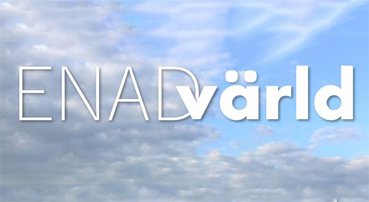 New City Online Store